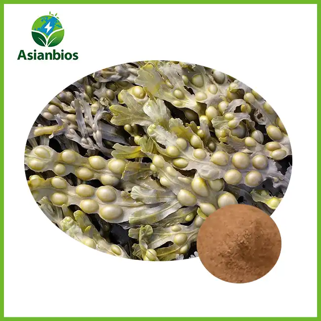 Fucus Extract